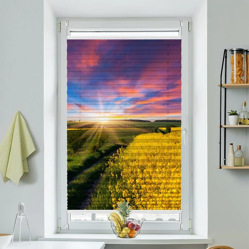 Plissee Motiv "Rapsfeld Sonnenaufgang"