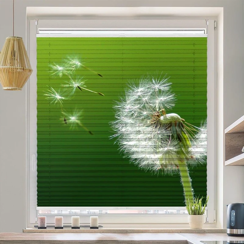 Wabenplissee Motiv "Pusteblume Hintergrund Samen"