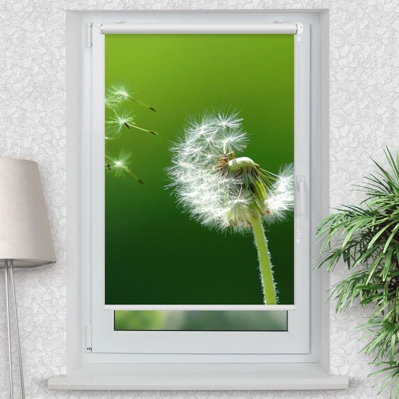 Klemmfix Rollo "Pusteblume" | Motiv-Klemmrollo