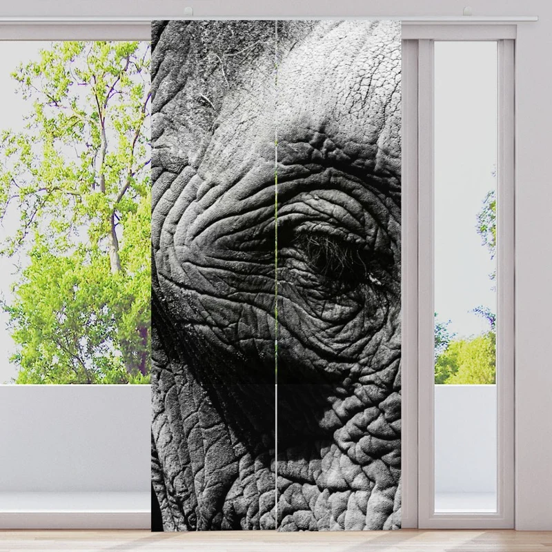 Schiebegardine Motiv "Elefant Nahaufnahme"