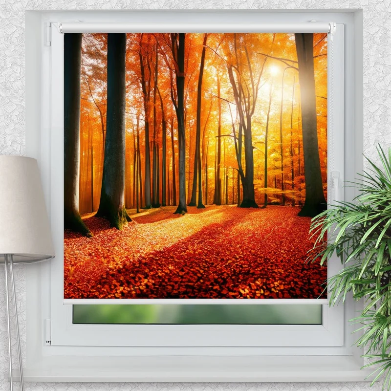 Klemmfix Rollo "Herbst Wald Sonne" | Motiv-Klemmrollo