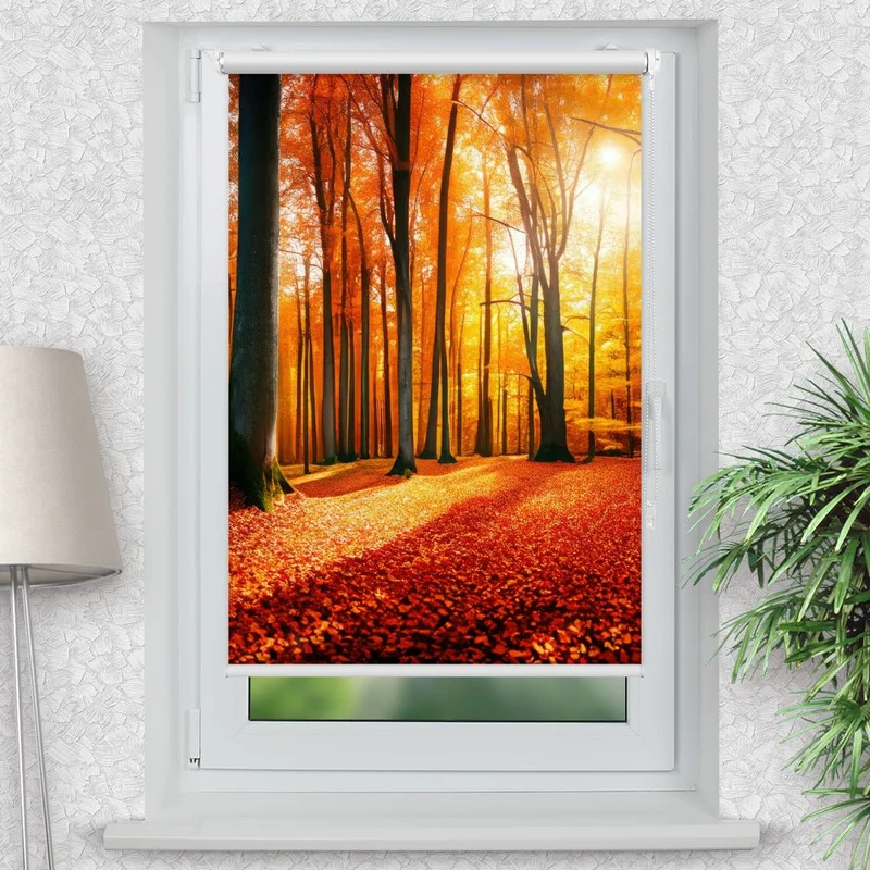 Klemmfix Rollo "Herbst Wald Sonne" | Motiv-Klemmrollo