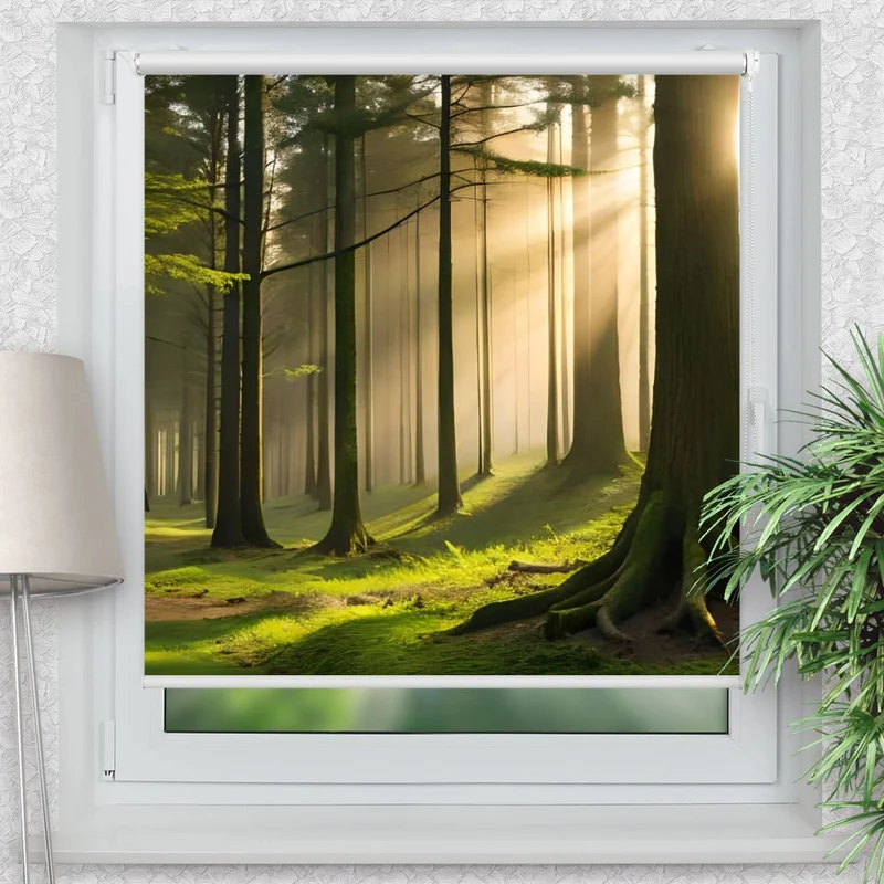 Klemmfix Rollo "Wald Nebel Baeume" | Motiv-Klemmrollo