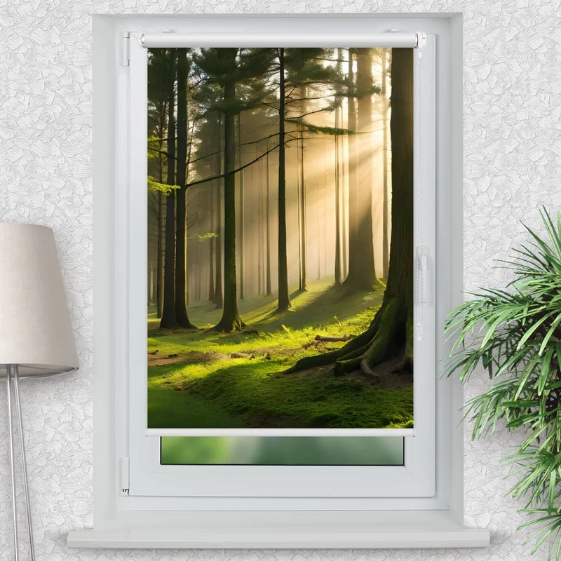 Klemmfix Rollo "Wald Nebel Baeume" | Motiv-Klemmrollo