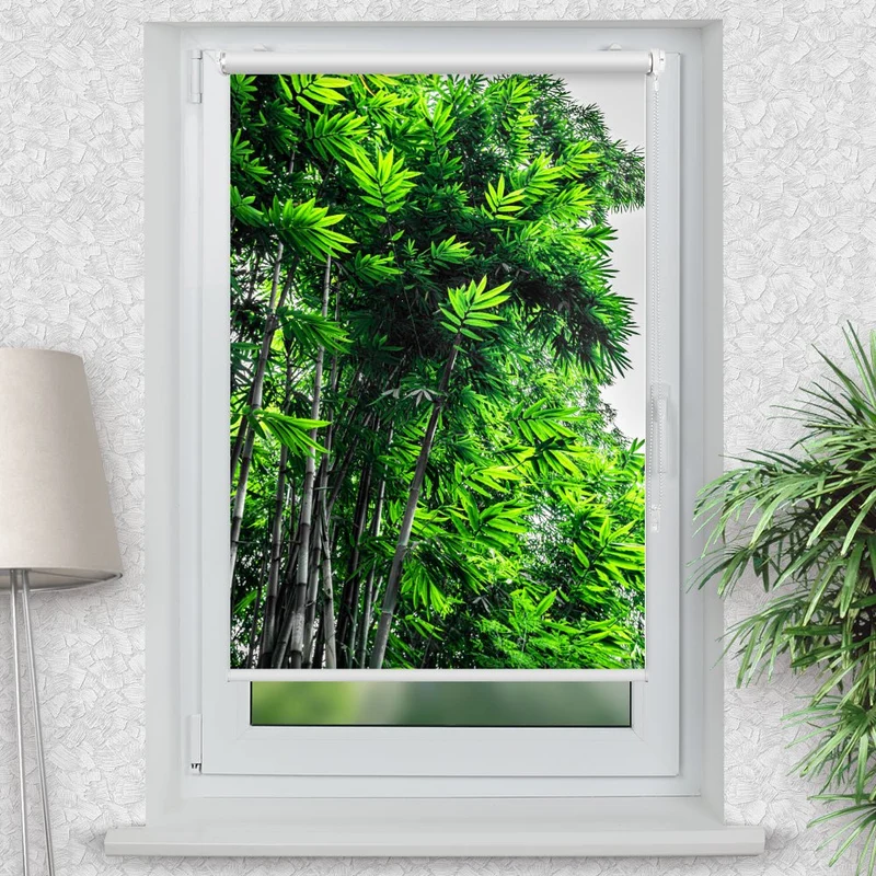 Klemmfix Rollo "Bambus Wald Urwald" | Motiv-Klemmrollo