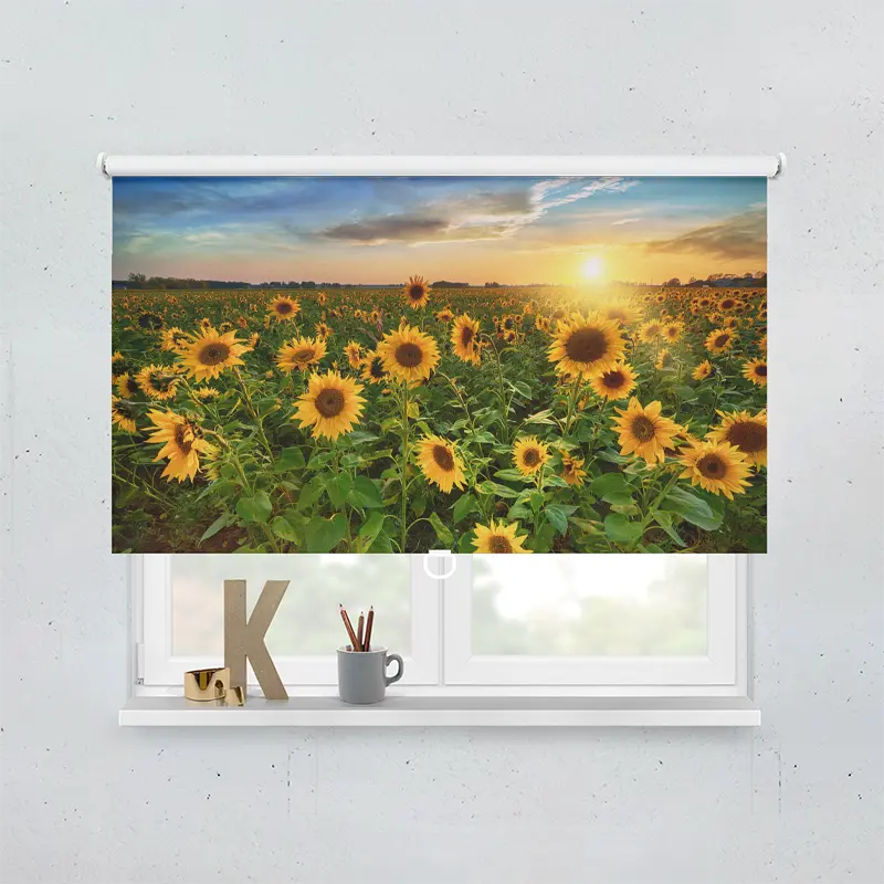 Springrollo Motiv "Sonnenblumenfeld Sonnenuntergang"
