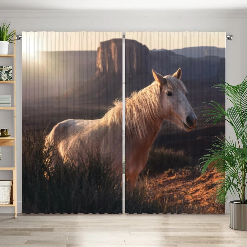 Vorhang Motiv "Wildpferd Arizona Wüste"
