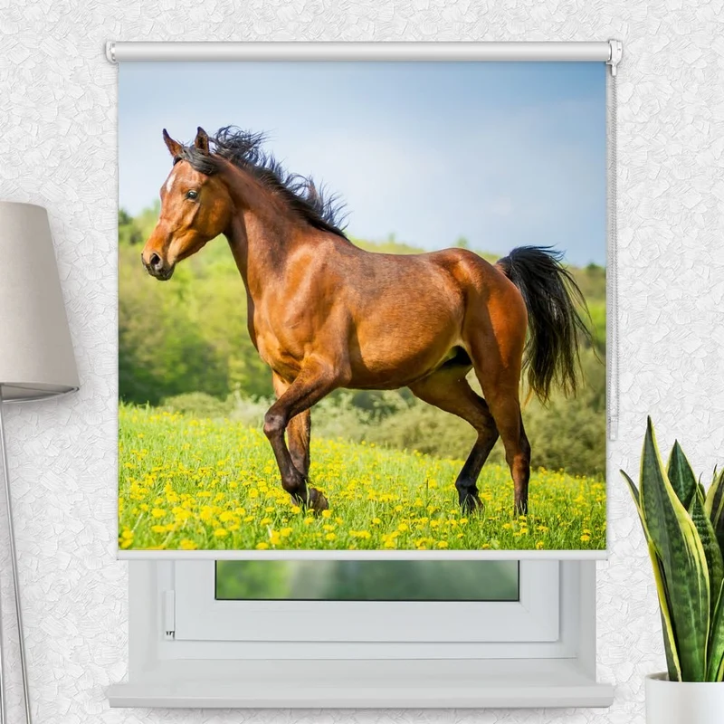 Motivrollo 'Pferd Gruene Wiese' | Bis B 430 x H 440 cm