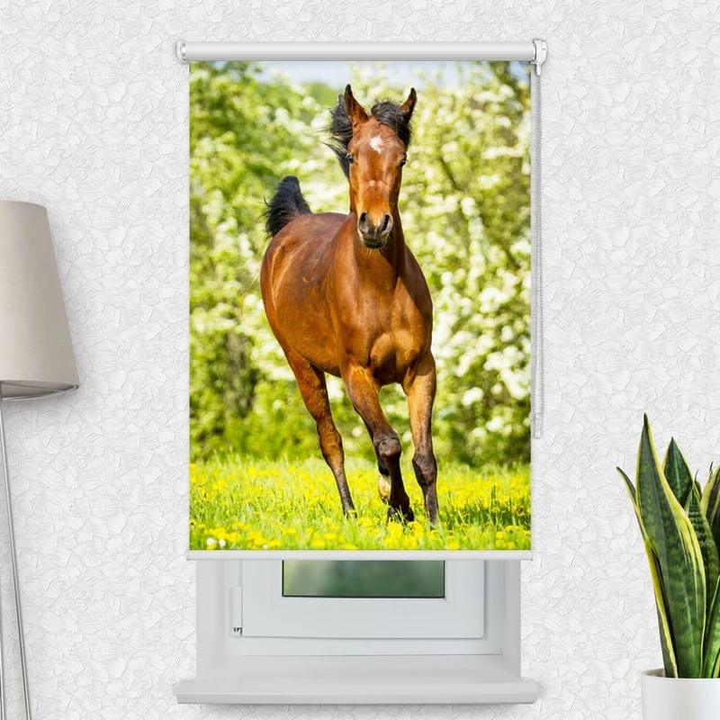 Motivrollo 'Pferd Wiese' | Bis B 430 x H 440 cm