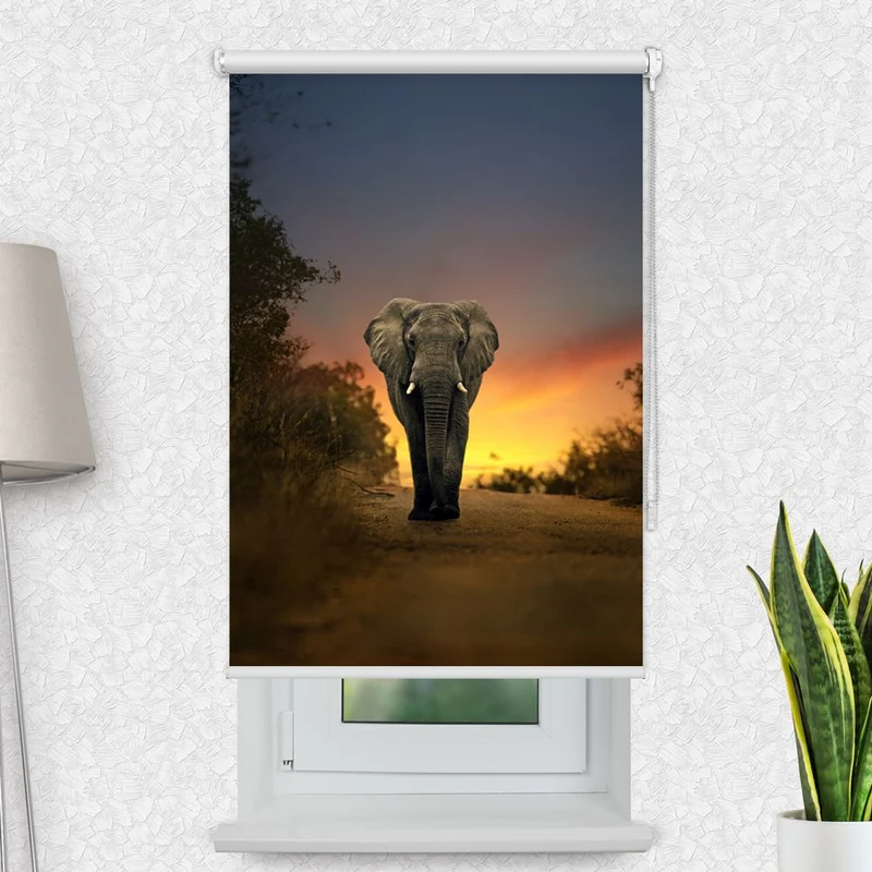 Motivrollo 'Elefant Auf Der Strasse' | Bis B 430 x H 440 cm