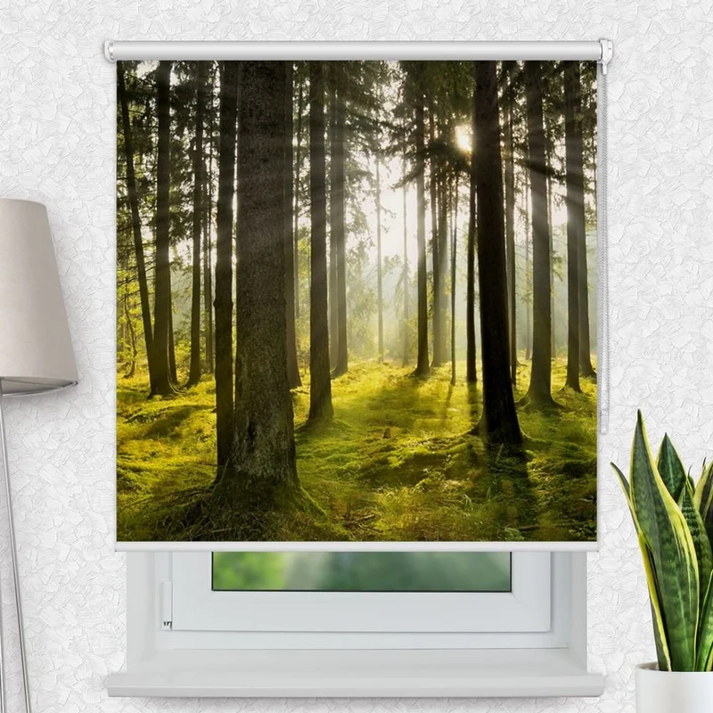 Motivrollo 'Sonnenstrahlen Im Wald' | Bis B 430 x H 440 cm