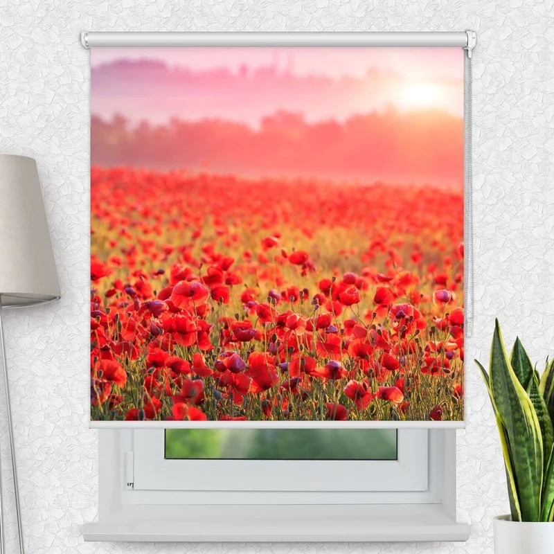 Motivrollo 'Mohnblumen Feld' | Bis B 430 x H 440 cm