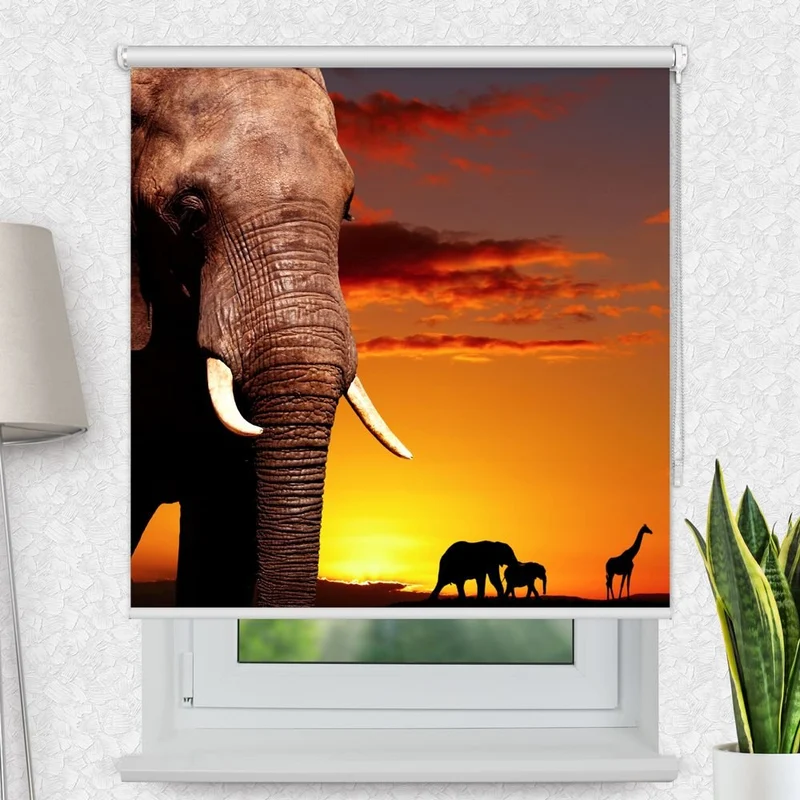 Motivrollo 'Elefant Elefant' | Bis B 430 x H 440 cm