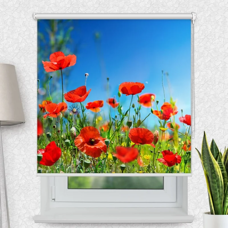 Motivrollo 'Wiese Mohnblumen' | Bis B 430 x H 440 cm