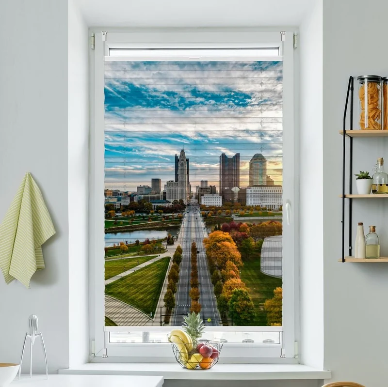 Plissee Motiv 'Downtown City Skyline'