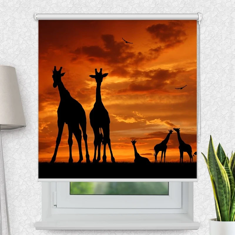 Motivrollo 'Giraffen Afrika' | Bis B 430 x H 440 cm