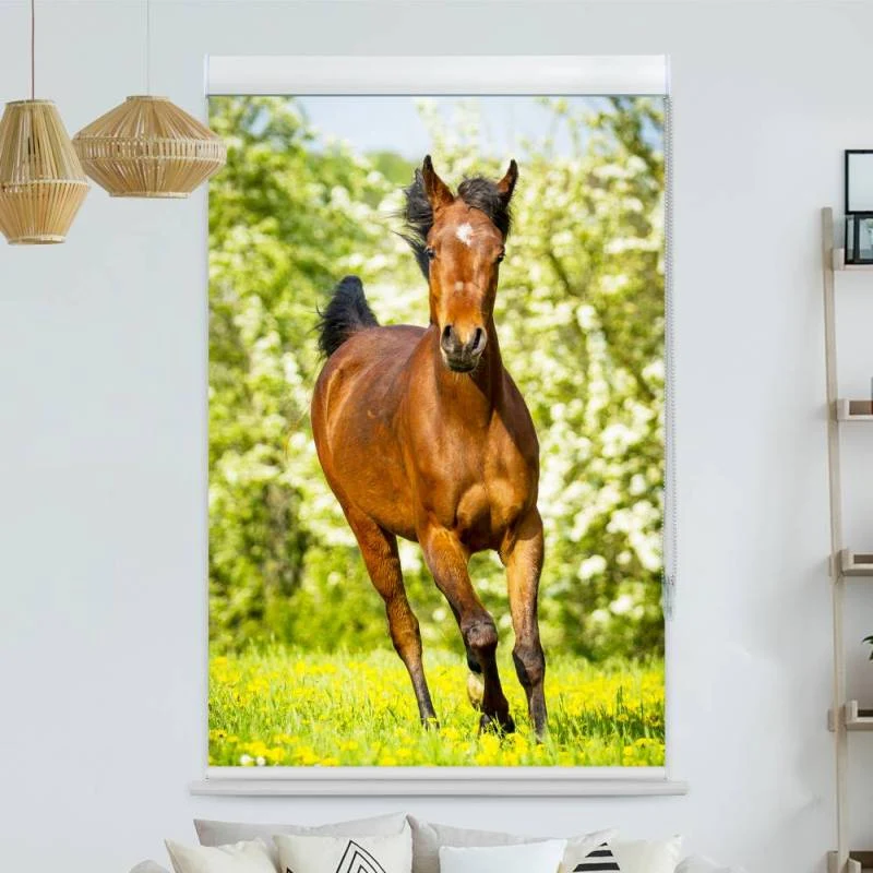 Kassettenrollo Motiv "Pferd Wiese" | bis B 420 x H 420 cm