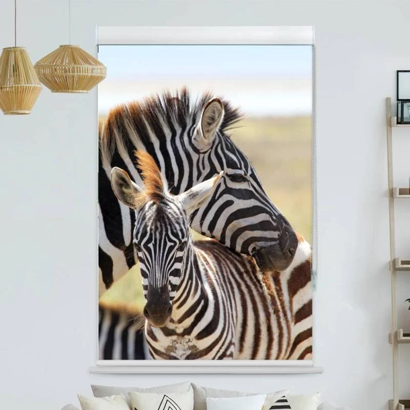 Kassettenrollo Motiv "Zebras" | bis B 420 x H 420 cm