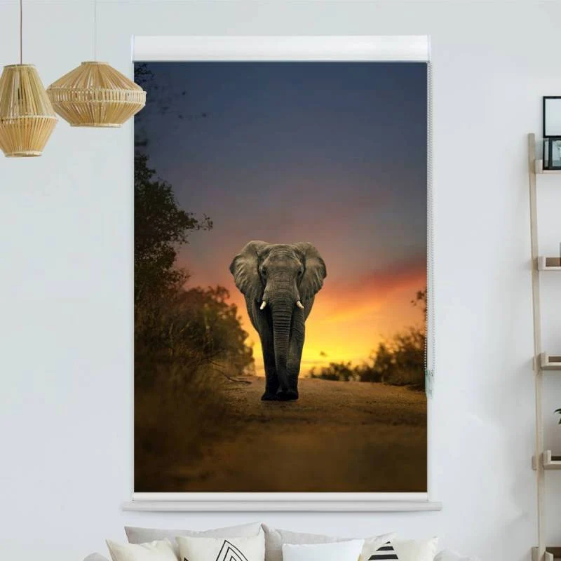 Kassettenrollo Motiv "Elefant Auf Der Strasse" | bis B 420 x H 420 cm