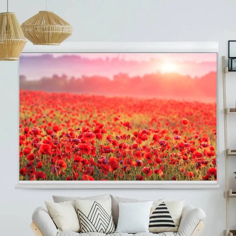 Kassettenrollo Motiv "Mohnblumen Feld" | bis B 420 x H 420 cm