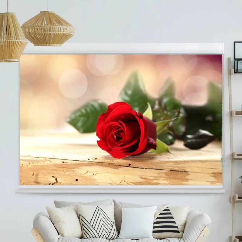 Kassettenrollo Motiv "Rote Rose" | bis B 420 x H 420 cm