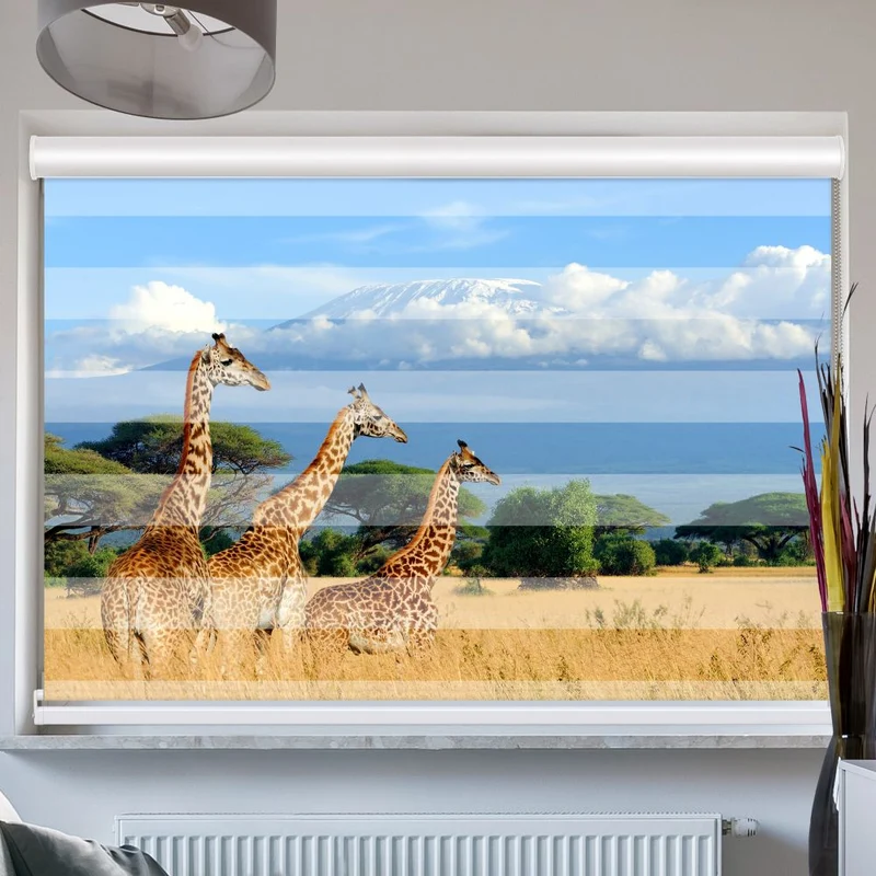 Doppelrollo mit Kassette "Giraffen Am Kilimandscharo"