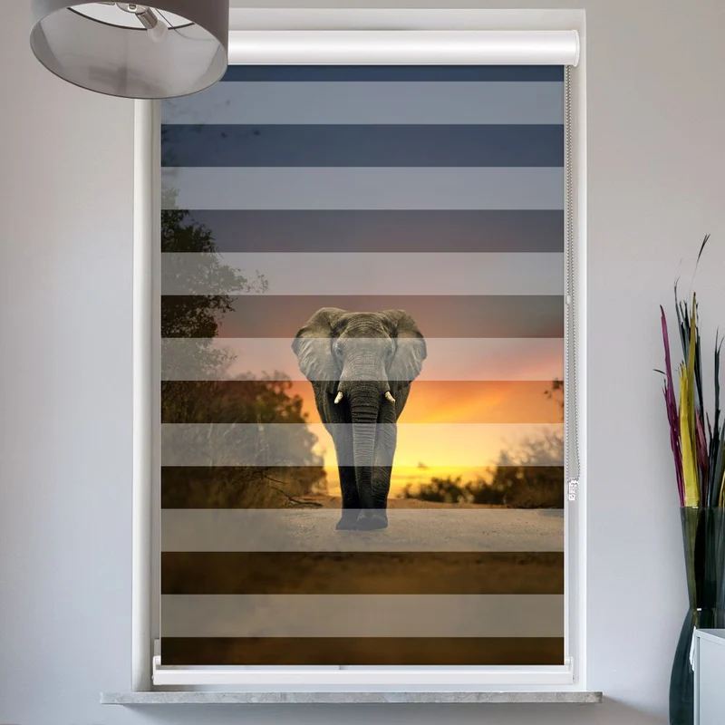 Doppelrollo mit Kassette "Elefant Auf Der Strasse"