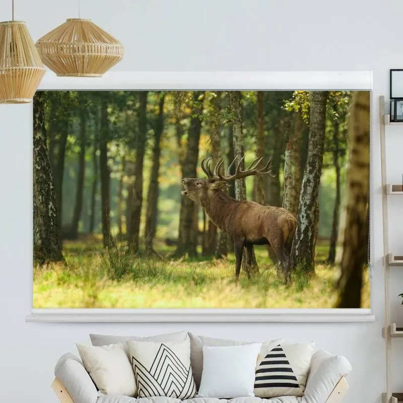 Kassettenrollo Motiv "Hirsch Wald" | bis B 420 x H 420 cm