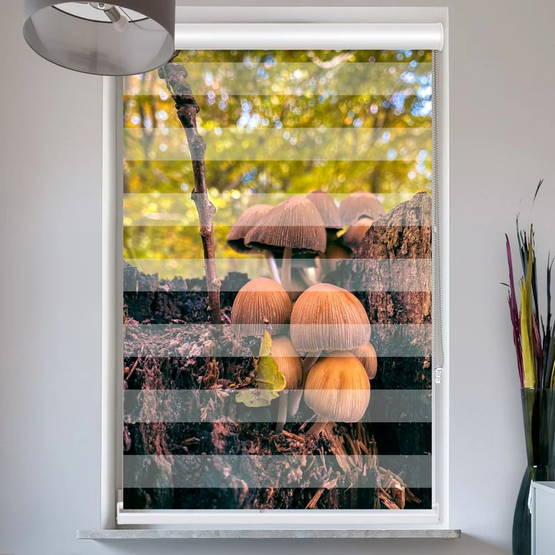 Doppelrollo mit Kassette "Wald Pilze"