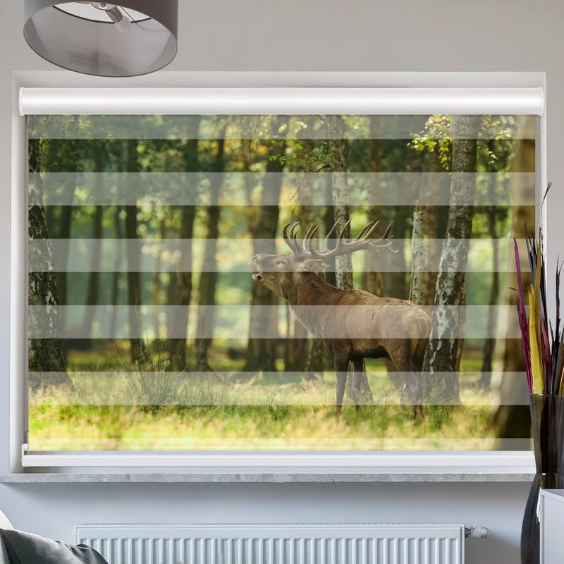 Doppelrollo mit Kassette "Hirsch Wald"