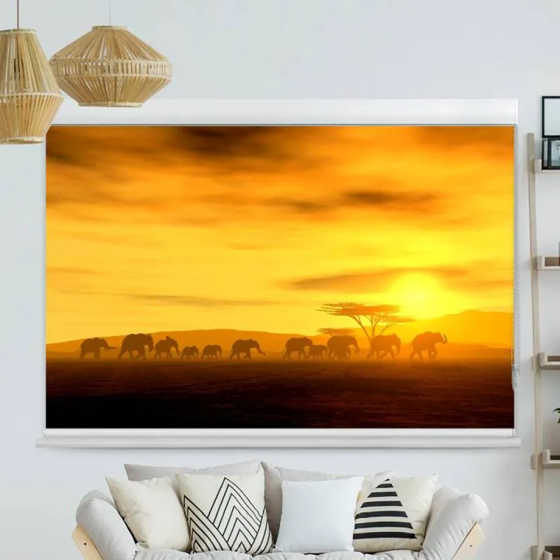 Kassettenrollo Motiv "Afrika Elefanten" | bis B 420 x H 420 cm