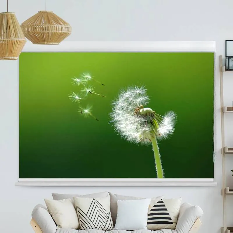 Kassettenrollo Motiv "Pusteblume" | bis B 420 x H 420 cm