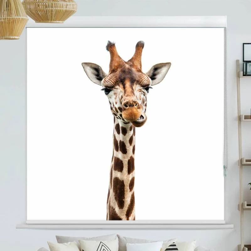Kassettenrollo Motiv "Giraffe" | bis B 420 x H 420 cm