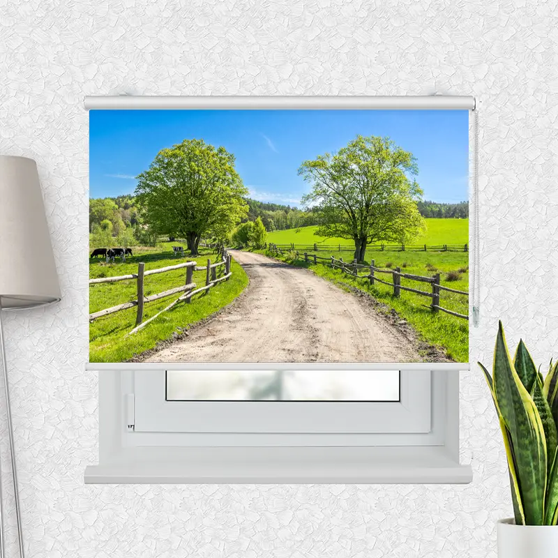Motivrollo "Landschaft mit Gras und Kühen" | Bis B 430 x H 440 cm