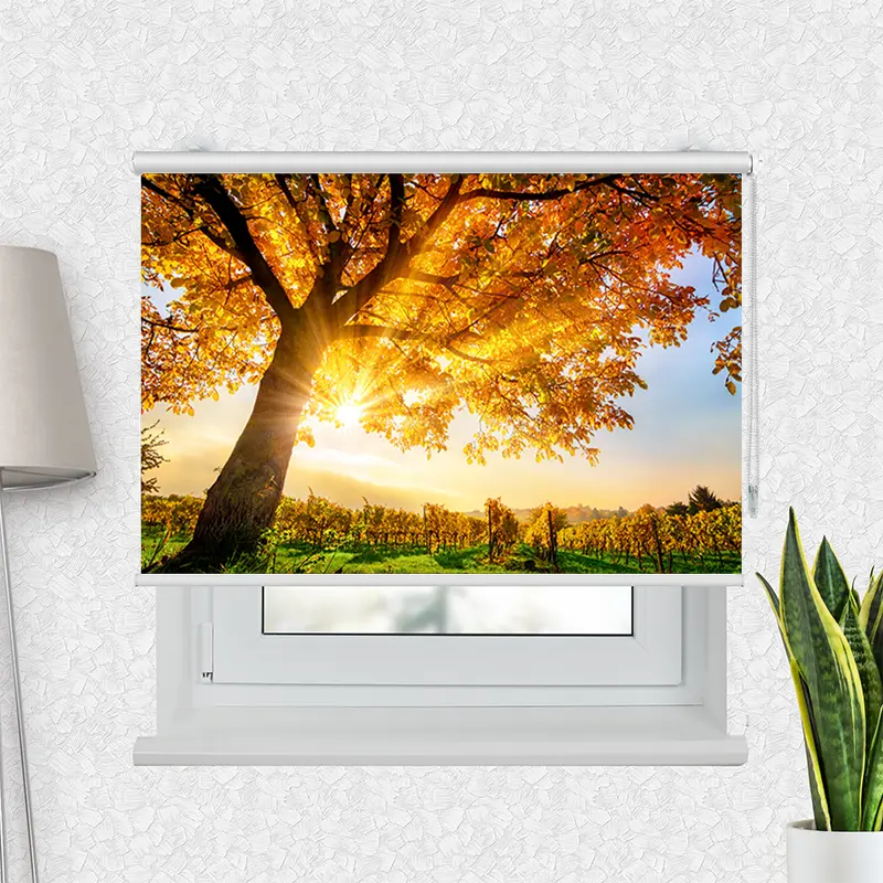 Klemmfix Rollo "Baum Herbst Sonnenschein" | Motiv-Klemmrollo