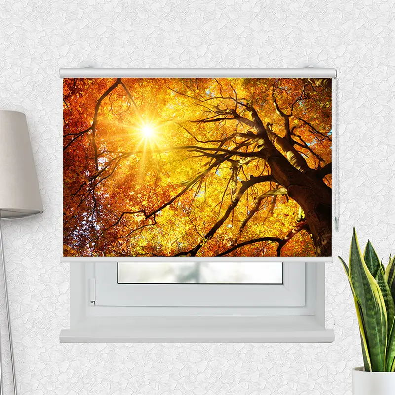 Klemmfix Rollo "Baumkrone Herbst Sonnenschein" | Motiv-Klemmrollo