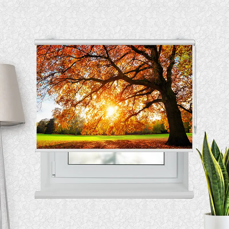 Klemmfix Rollo "Baum Herbst Sonnenstrahlen" | Motiv-Klemmrollo