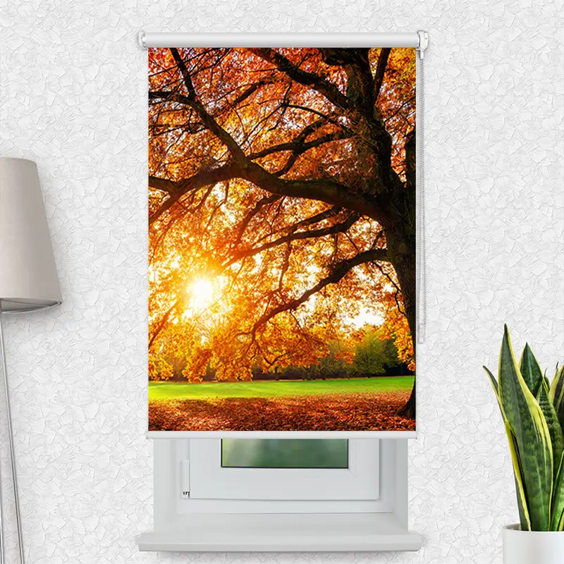 Klemmfix Rollo "Baum Herbst Sonnenstrahlen" | Motiv-Klemmrollo