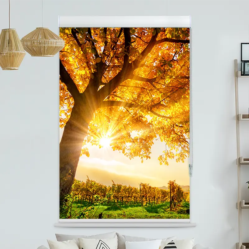 Kassettenrollo Motiv "Baum Herbst Sonnenschein" | bis B 420 x H 420 cm