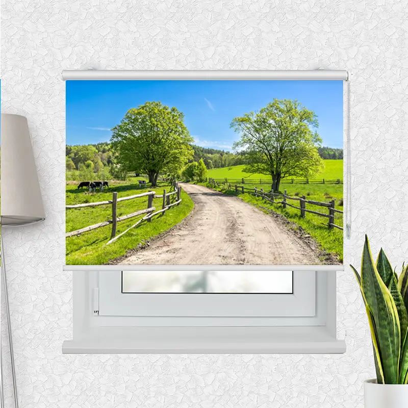 Klemmfix Rollo "Landschaft mit Gras und Kühen" | Motiv-Klemmrollo