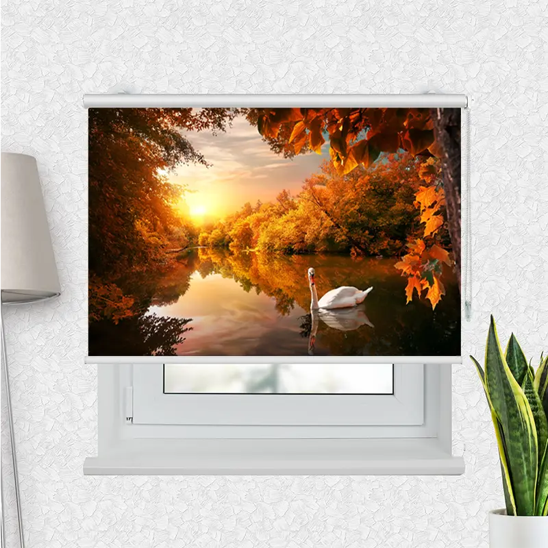 Klemmfix Rollo "Schwan auf Herbstteich" | Motiv-Klemmrollo