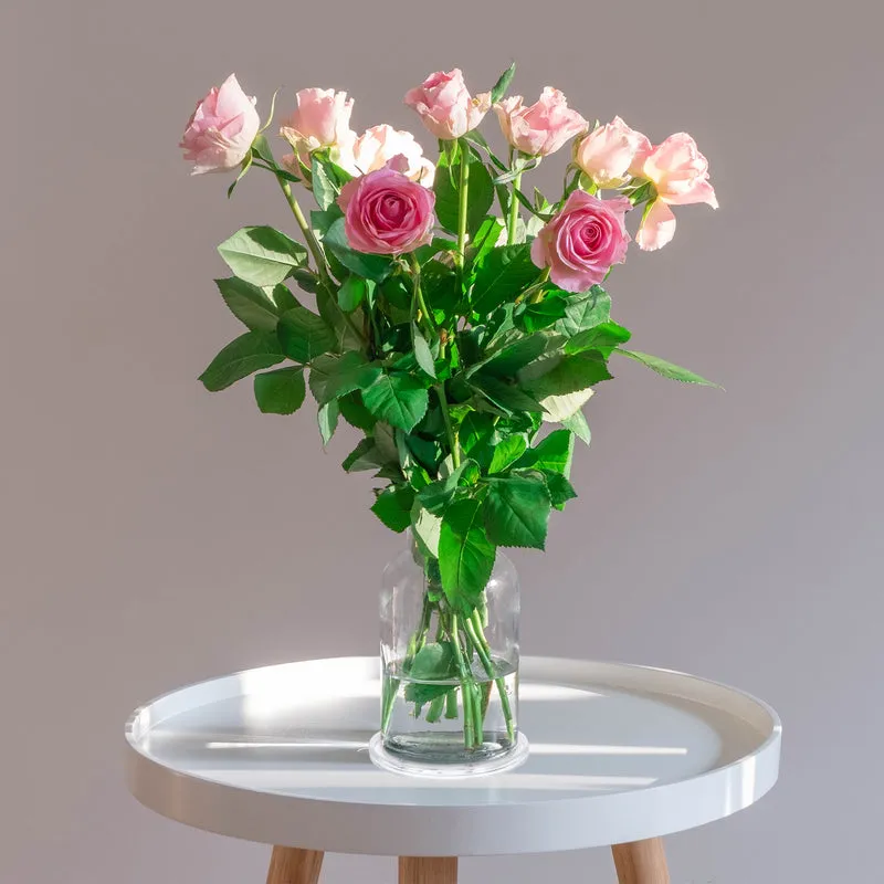 3Pack Acrylic Lazy Susan Turntable, 2.5" Ball Bearing Rotating Tray, Clear