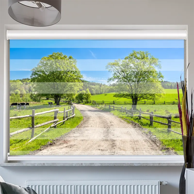 Doppelrollo mit Kassette "Landschaft mit Gras und Kühen"
