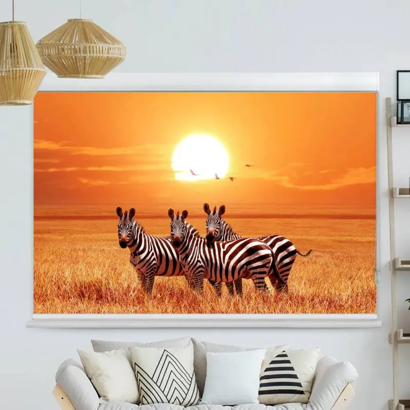 Kassettenrollo Motiv "Zebras Afrika Savanne" | bis B 420 x H 420 cm
