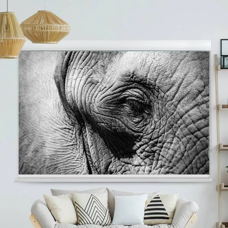 Kassettenrollo Motiv "Elefant Afrika Auge" | bis B 420 x H 420 cm