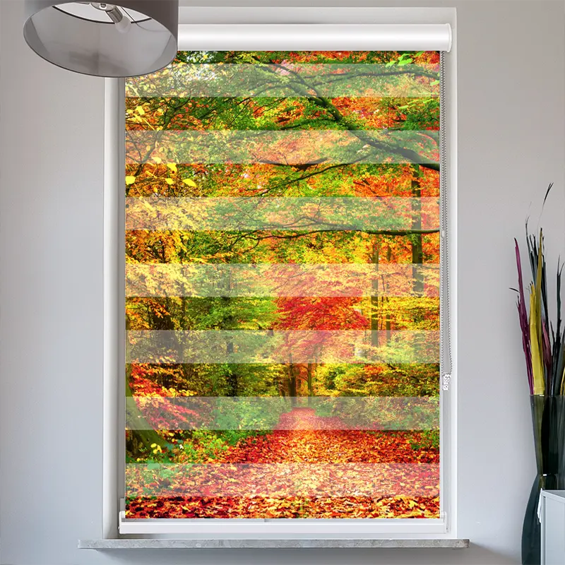 Doppelrollo mit Kassette "Weg Im Herbstwald"