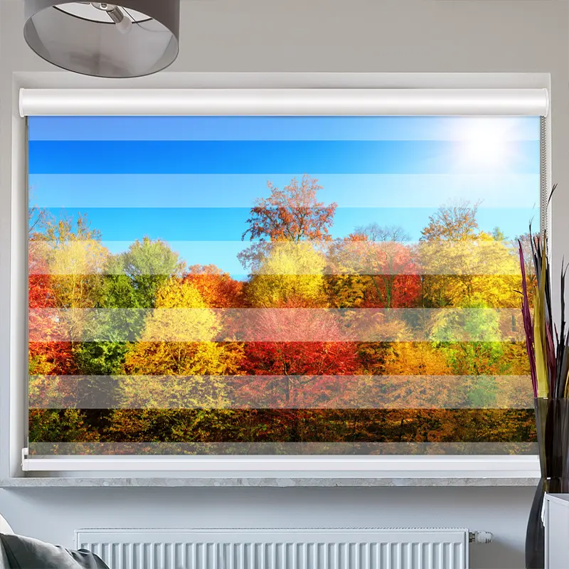 Doppelrollo mit Kassette "Bunter Herbstwald"