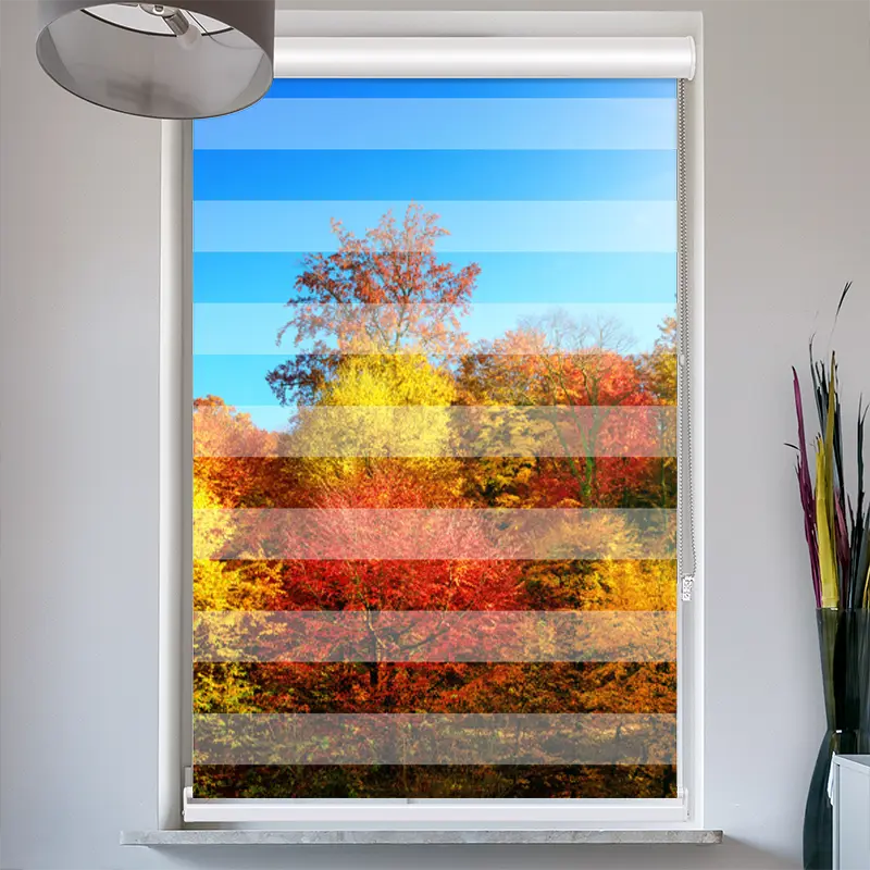 Doppelrollo mit Kassette "Bunter Herbstwald"