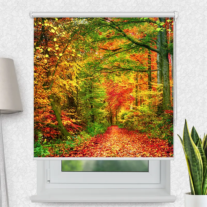 Motivrollo "Weg Im Herbstwald" | Bis B 430 x H 440 cm