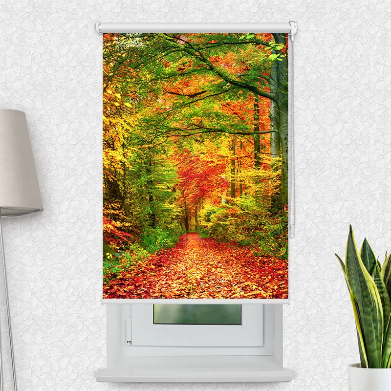 Motivrollo "Weg Im Herbstwald" | Bis B 430 x H 440 cm